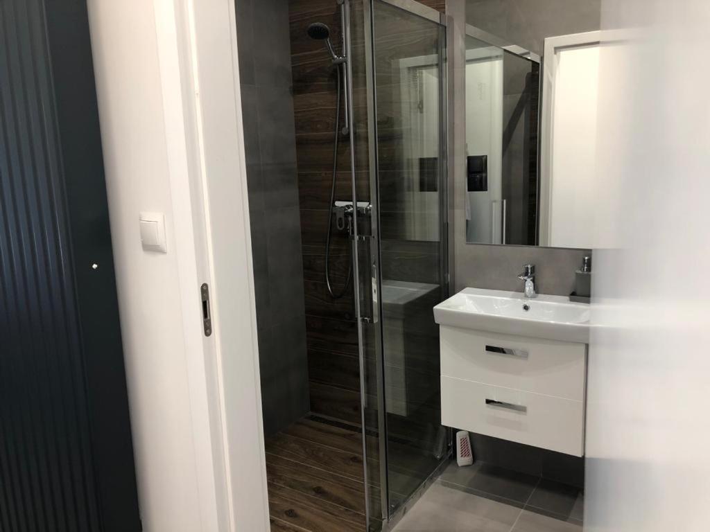 Apartamenty Dworcowa 45 Gliwice Eksteriør bilde